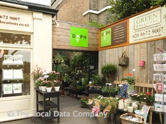 Daph Flowers image