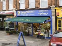 Sunflowers image