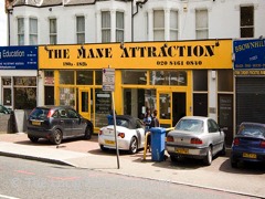 The Mane Attraction image