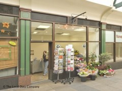 Modern Flower Company image