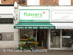 Flowers On The Lane image