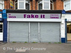 Fake It image