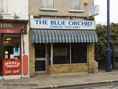 The Blue Orchid image