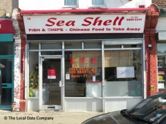Sea Shell image