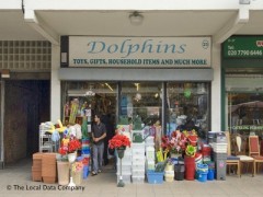 Dolphins image
