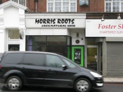 Morris Roots image