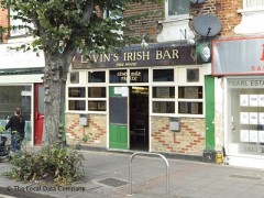 Lavin's Irish Bar image
