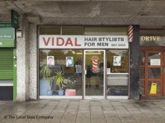 Vidal image