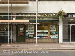 Curtis Haines image