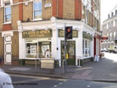 Curtis Haines image