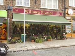 Willows Florist image