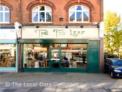 The Fig Leaf image