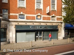 Gina image