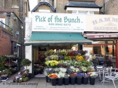 Pick Of The Bunch image