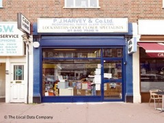 P J Harvey image