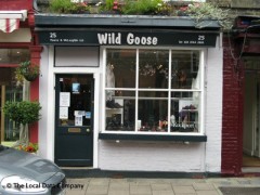 Wild Goose image