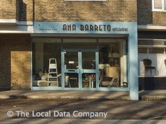 Ana Barreto image
