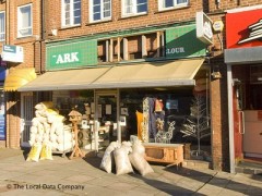 The Ark image
