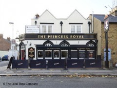The Princess Royal image
