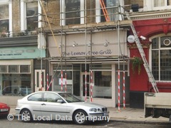 Lemon Tree Grill image