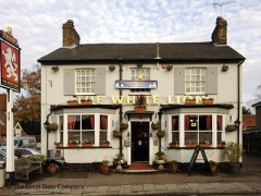 The White Lion image
