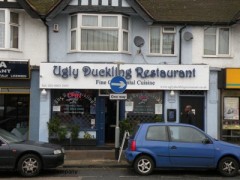 Ugly Duckling image