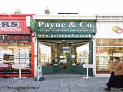 Payne & Co image