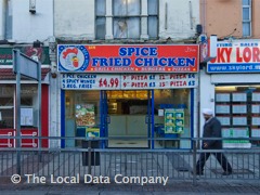 Spice Fried Chicken image
