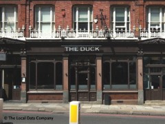 The Duck image