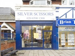 Silver Scissors image