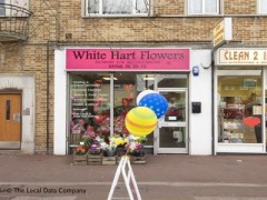 White Hart Flowers image