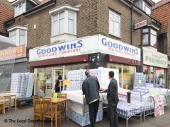 Goodwins image