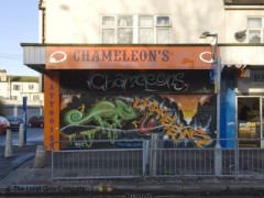 Chameleons image