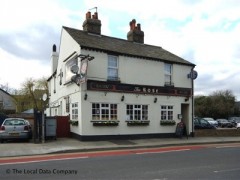 The Rose image
