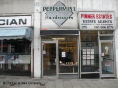 Peppermint Hair Design image