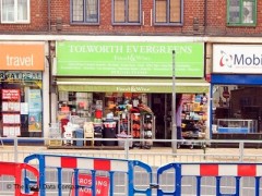 Tolworth Evergreens image