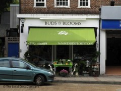 Buds & Blooms image