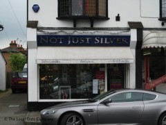 Not Just Silver image