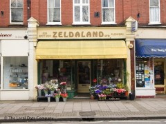 Zeldaland Flowers image