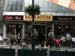 Barracuda image