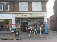 Tudor Rose image