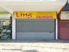 Lins image