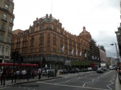 Louis Vuitton image