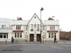 The Goose image