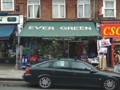 Ever Green image