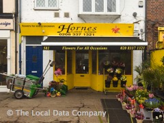 Hornes image