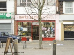 Hayes Florist image