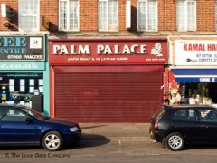 Palm Palace image