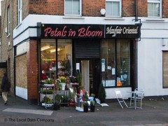 Petals In Bloom image