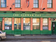 The Flower Pot image